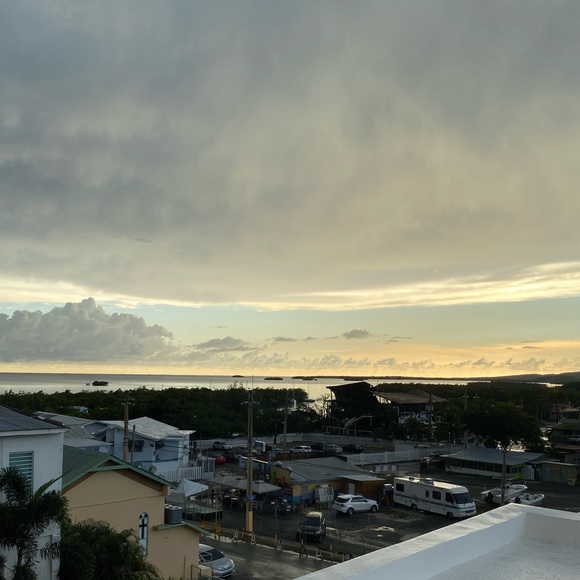 Meet your Posher, Sara - Picture 1 of 1